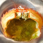 Photo : small crab anemone, a hollowed out crab filled with crab brain soup